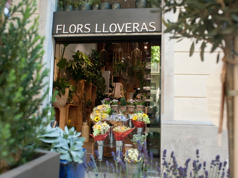 Flors Lloveras (13)